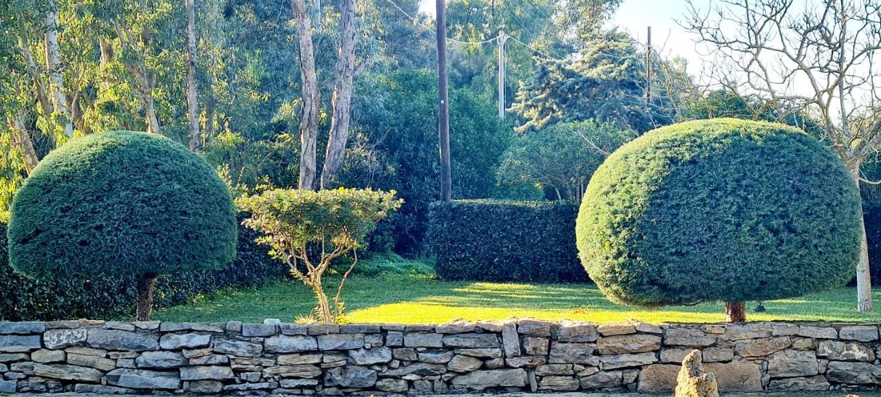 Apartment Sa Branda Costa Country Alghero